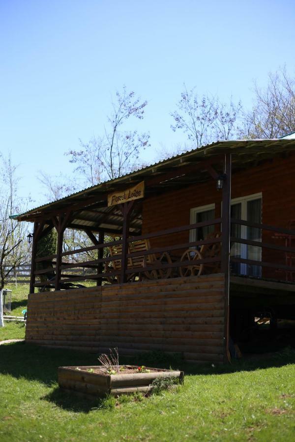 Forest Lodge On The Pyramid วิโซโค ภายนอก รูปภาพ
